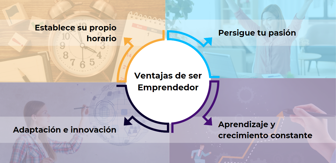 Oportunidades de Emprendimiento