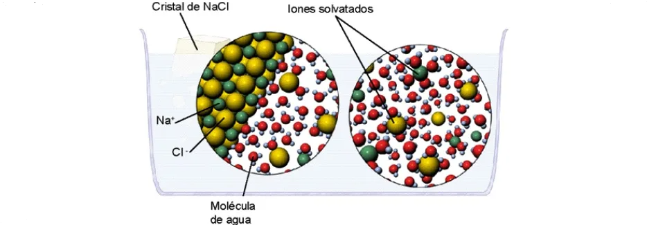 Solvatación - Proceso de Desintoxicación Iónica